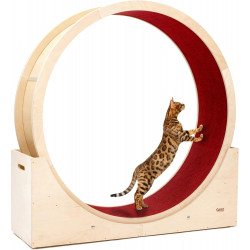 Elmato Rueda para gatos de aprox. 140 cm, rueda para gatos – Rueda para gatos de MDF completamente montada para interior con