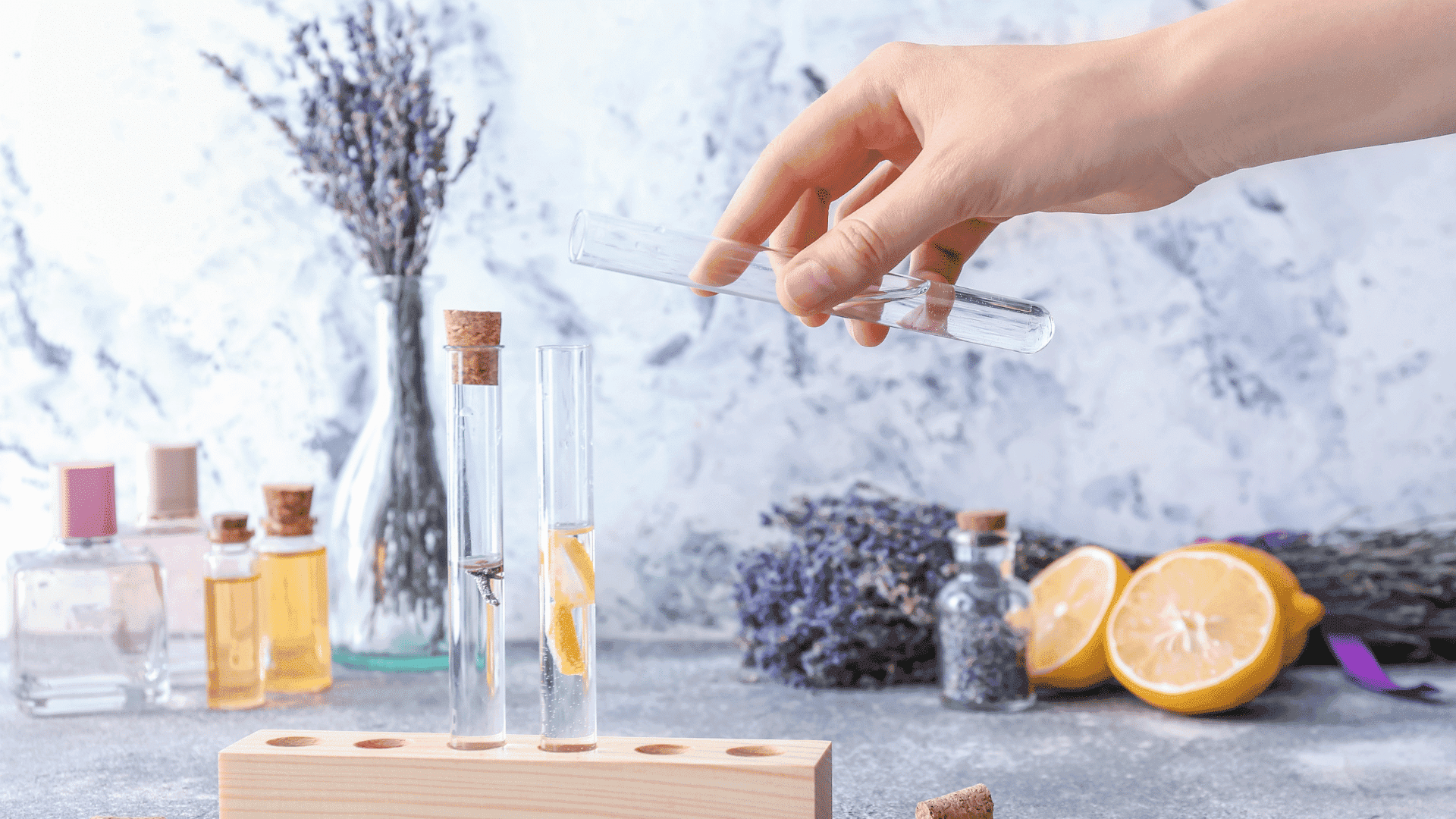 Guias de perfumes de equivalência