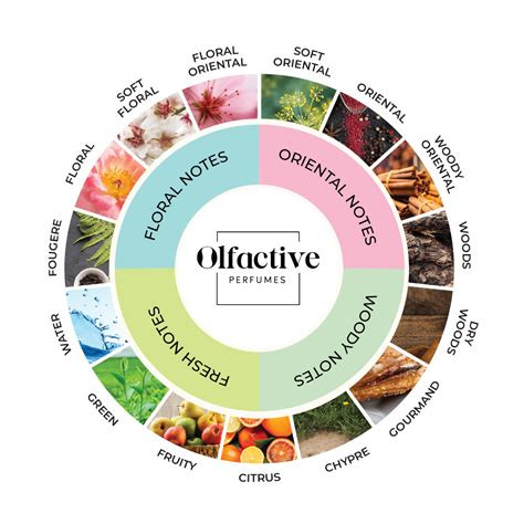 Olfactory families and product types